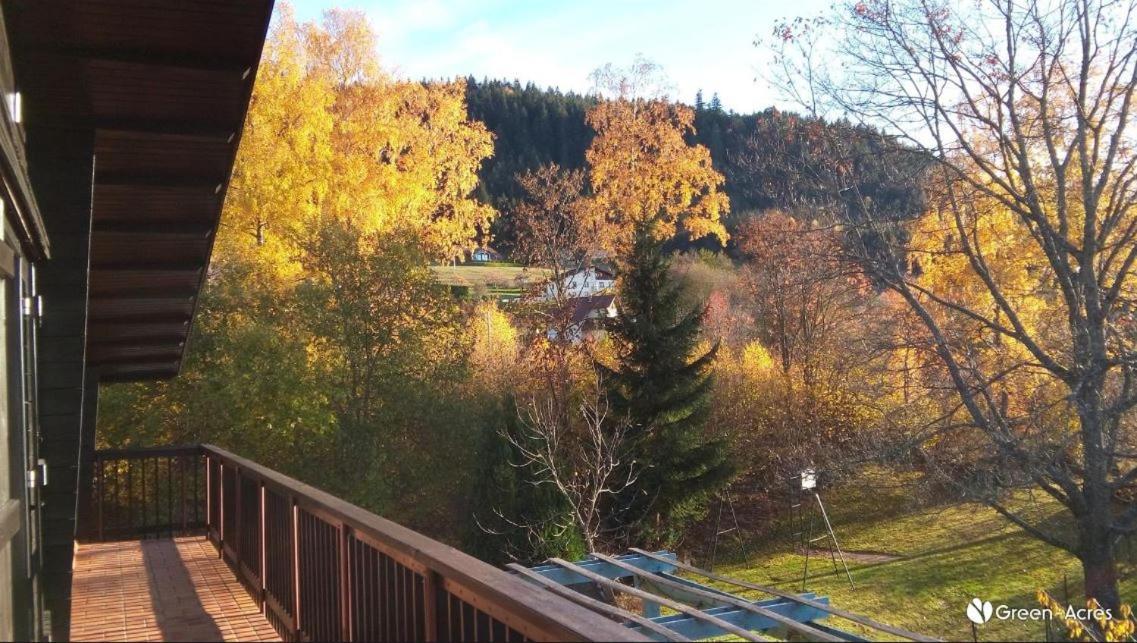 Chalet Les Chardons Gérardmer Exteriör bild